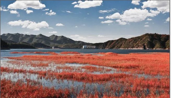 2023年3月我司為天津環秀湖公園提供自助導覽系統