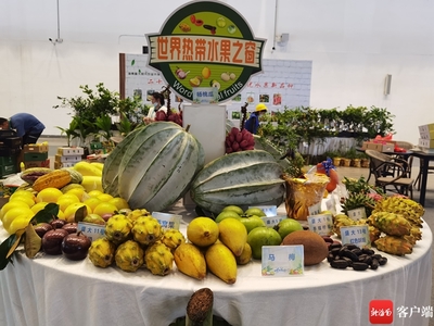 2025年2月,鷹米團隊講解器如何讓世界熱帶水果之窗